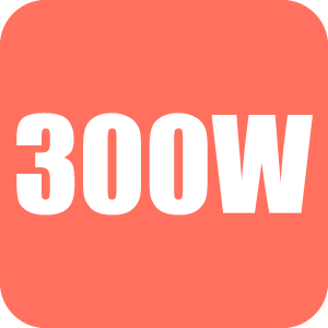 300W