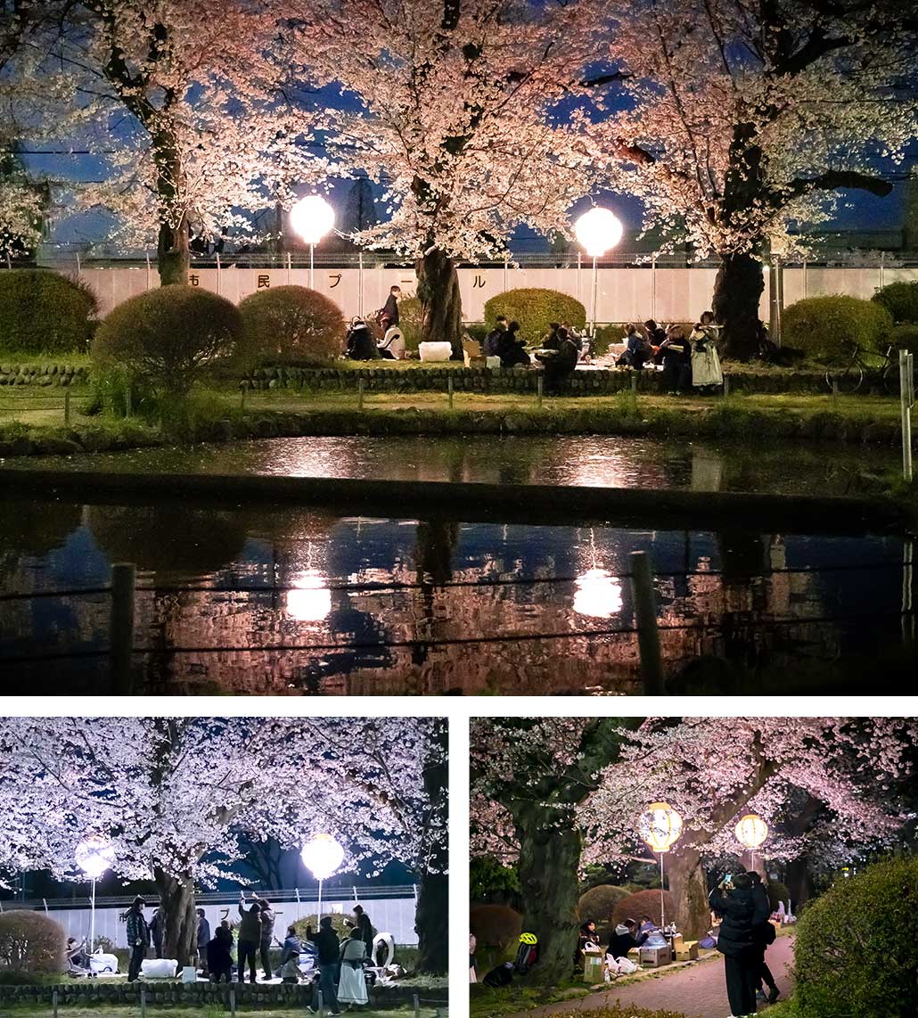 column-ohanami3 府中市民桜まつりデザインバルーン使用例